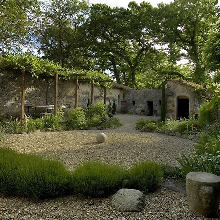 Casa Di Pietro In Vivo D'Orcia, Pool Vila Exterior foto